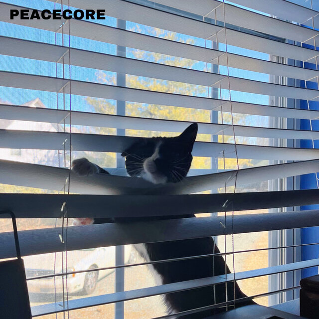 PEACECORE (Deluxe Edition)