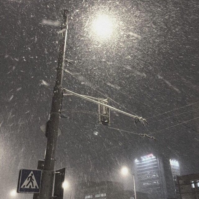 the snow