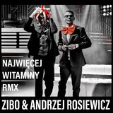 Najwięcej Witaminy Rmx (Rdio edit)
