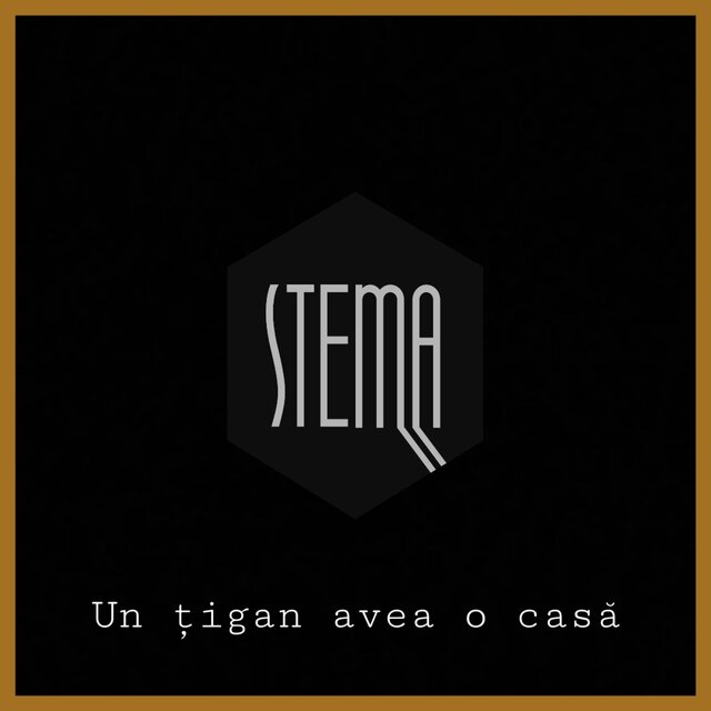 Un țigan avea o casă (feat. Sânziana)