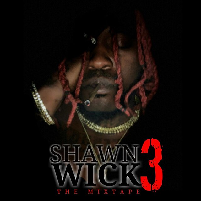 Shawn Wick 3