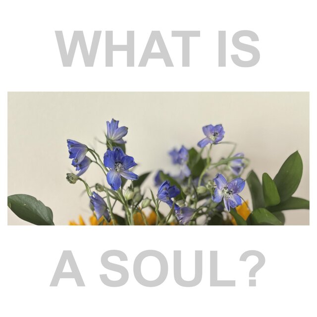 What Is a Soul?