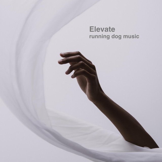 Elevate