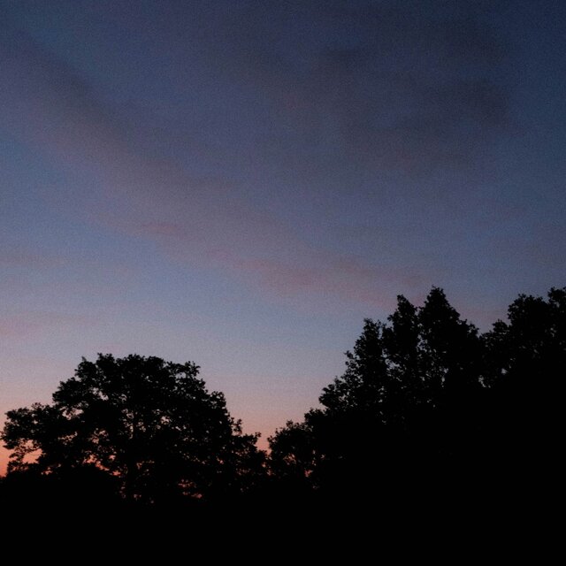 evening walk