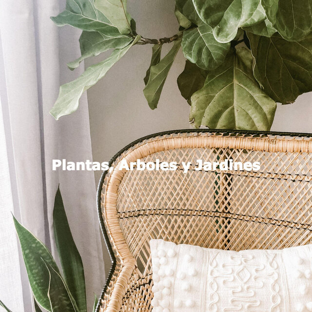 Plantas, Arboles y Jardines