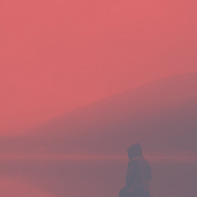 Selavi