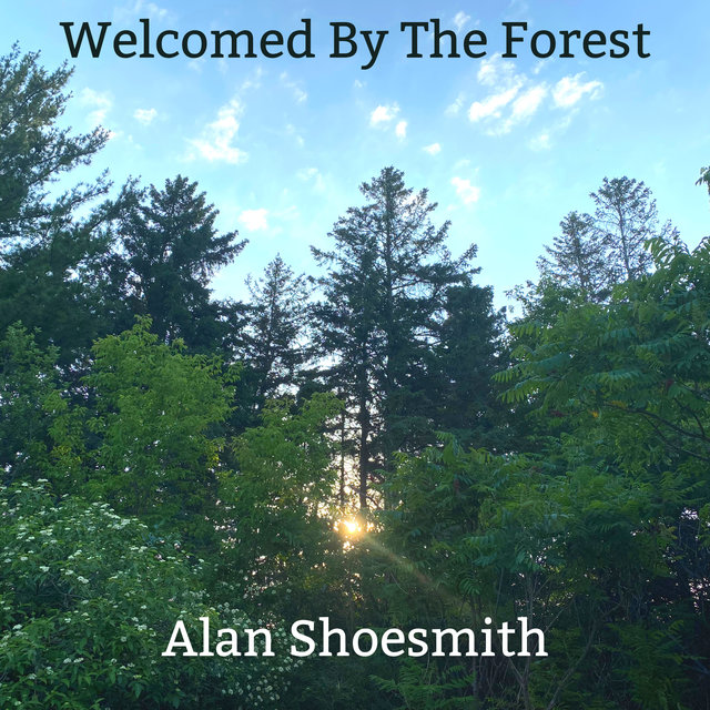 Welcomed By The Forest