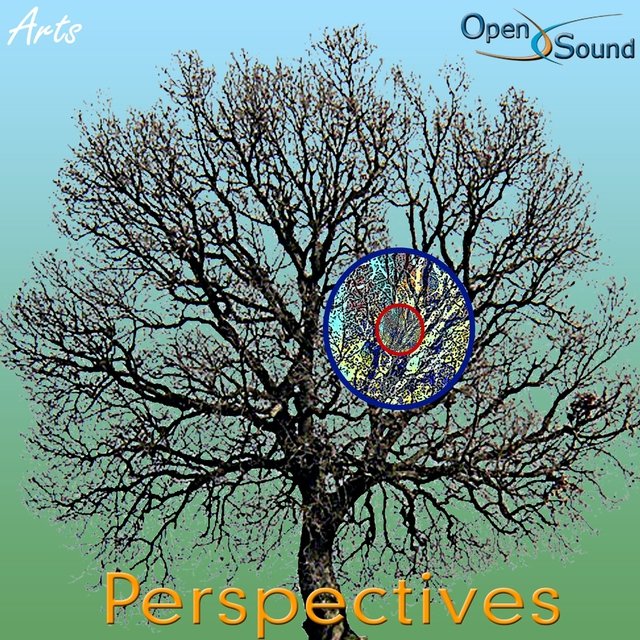 Focus (Perspectives)
