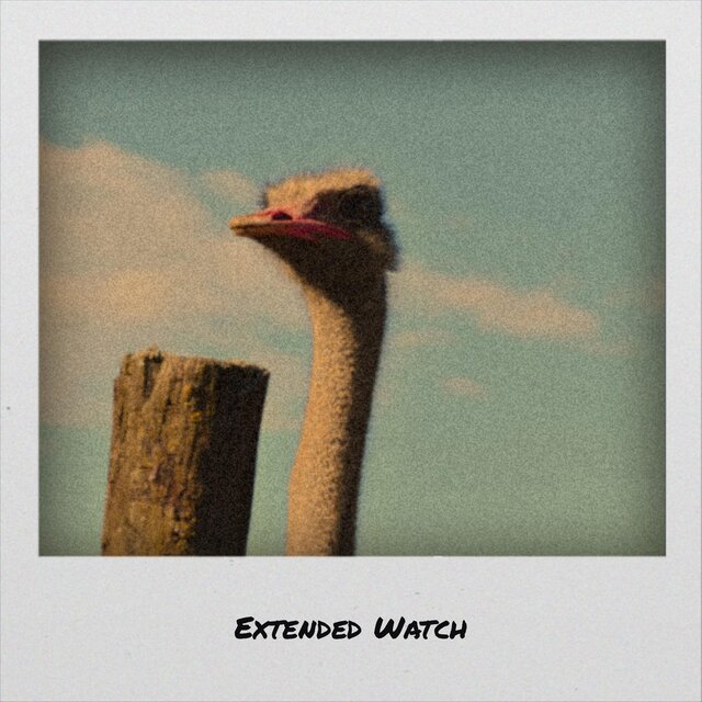 Extended Watch