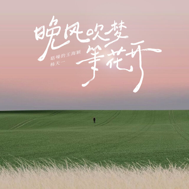 晚风吹梦等花开