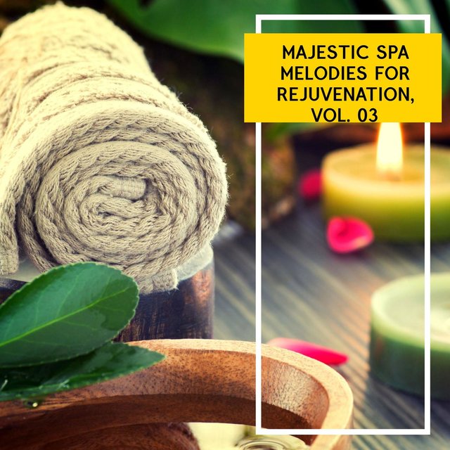 Majestic Spa Melodies for Rejuvenation, Vol. 03