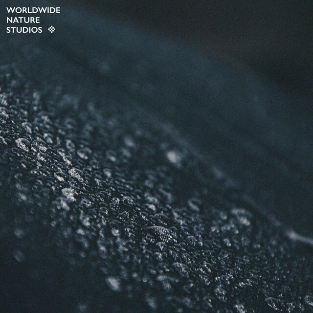 2021 Rain Sounds
