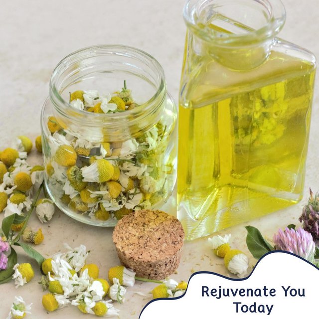 Rejuvenate You Today
