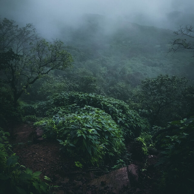 Short Nature