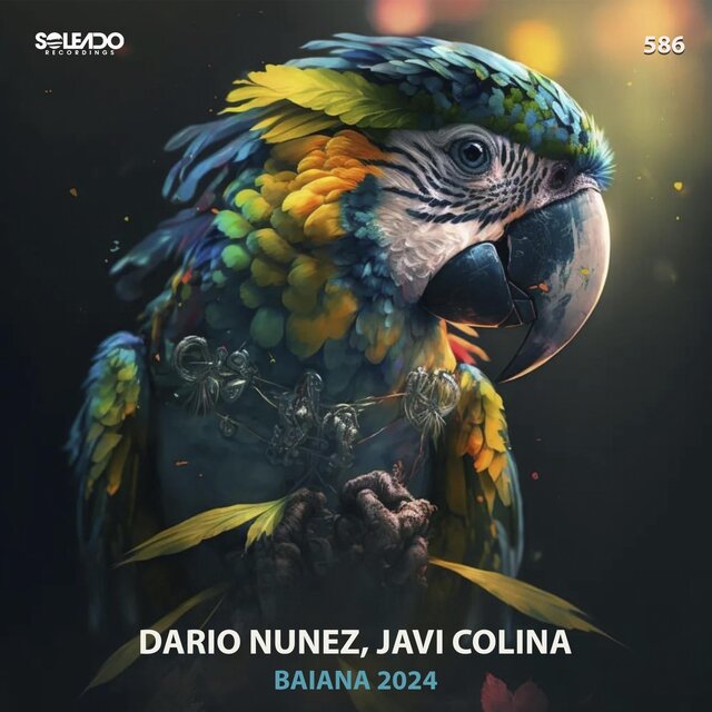 Baiana 2024