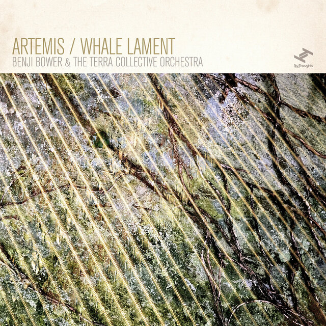 Artemis / Whale Lament