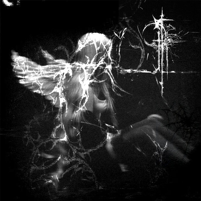set me free