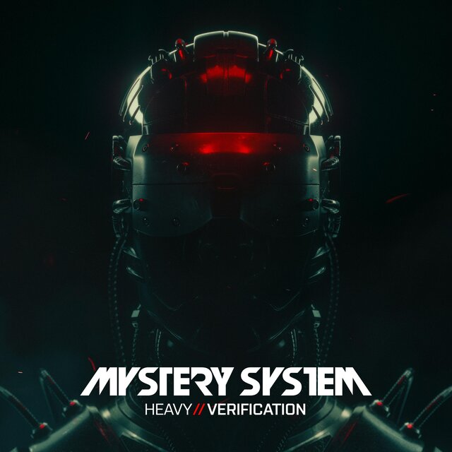 Heavy Verification