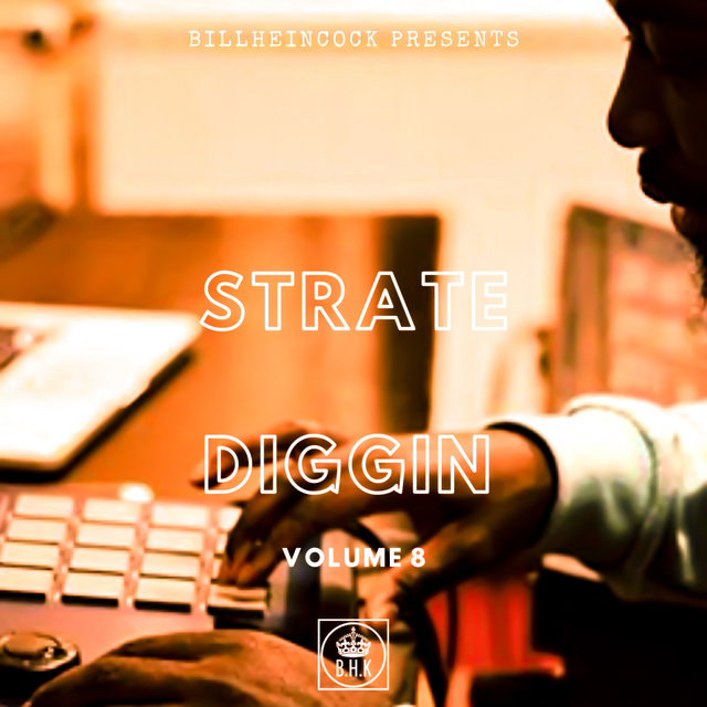 Strate Diggin (Vol.8)