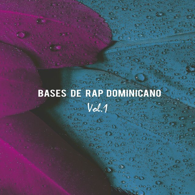 Bases de Rap Dominicano, Vol. 1