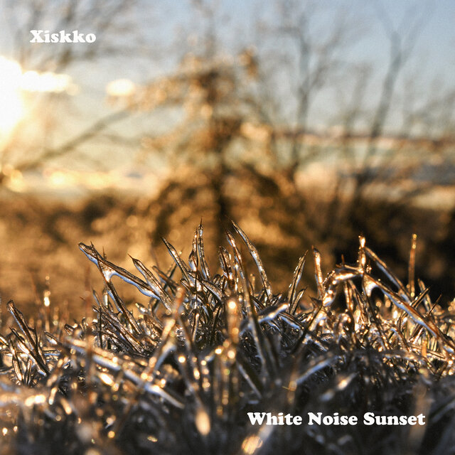 White Noise Sunset