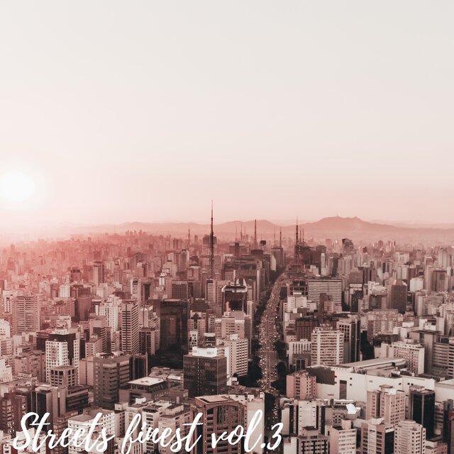 Streets Finest, Vol. 3 (Instrumental Version)