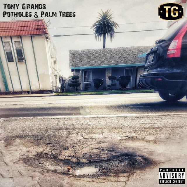 Potholes and Palm Trees
