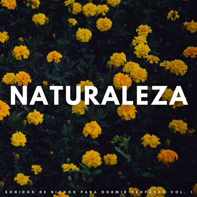 Naturaleza: Sonidos De Bichos Para Dormir Profundo Vol. 1