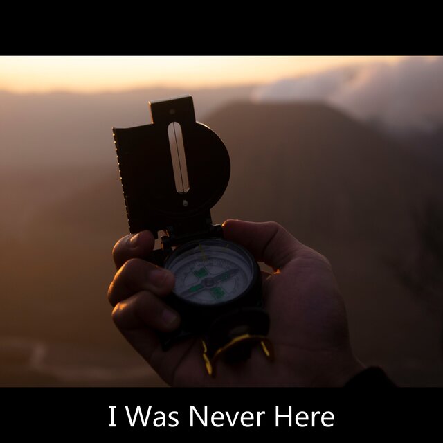 I Was Never Here