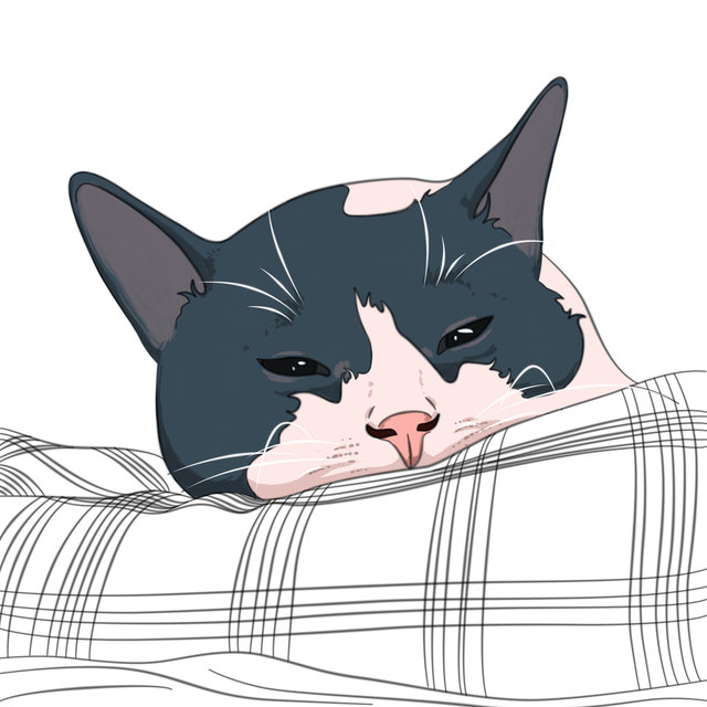typing