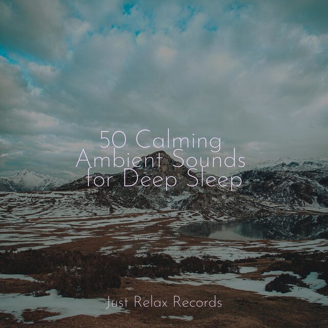 50 Calming Ambient Sounds for Deep Sleep
