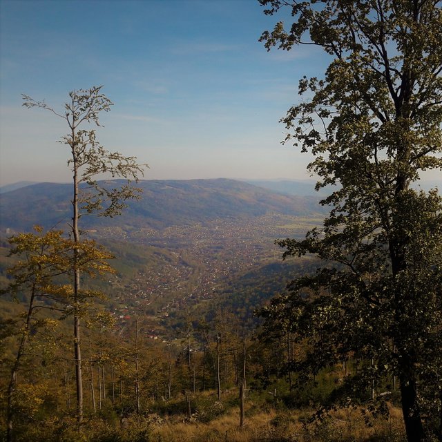 Polana