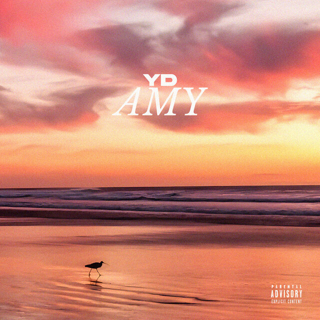 Yd Amy