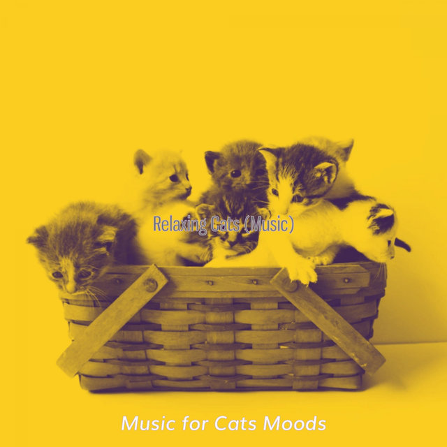 Relaxing Cats (Music)