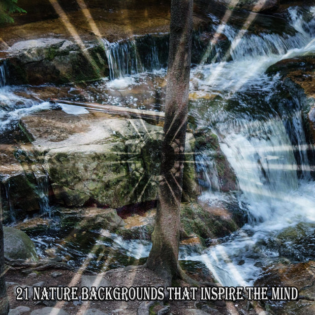 21 Nature Backgrounds That Inspire The Mind