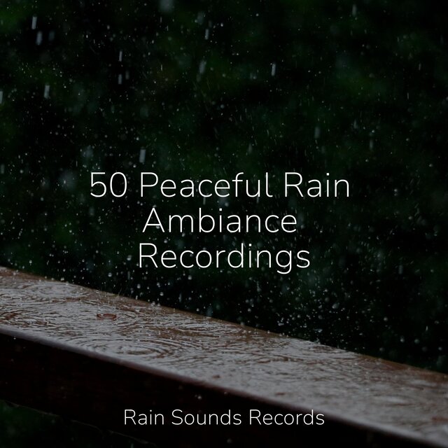 50 Peaceful Rain Ambiance Recordings