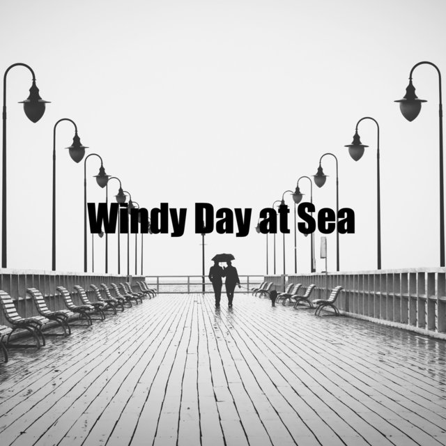 Windy Day at Sea