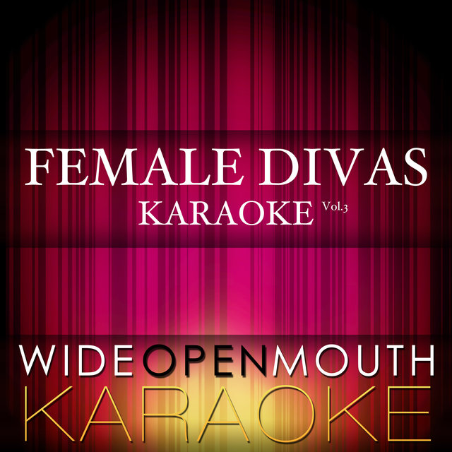 Female Divas Karaoke, Vol. 3