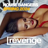 Surrender (Dub Mix)