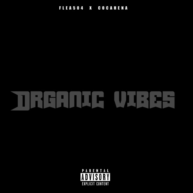 Organic Vibes