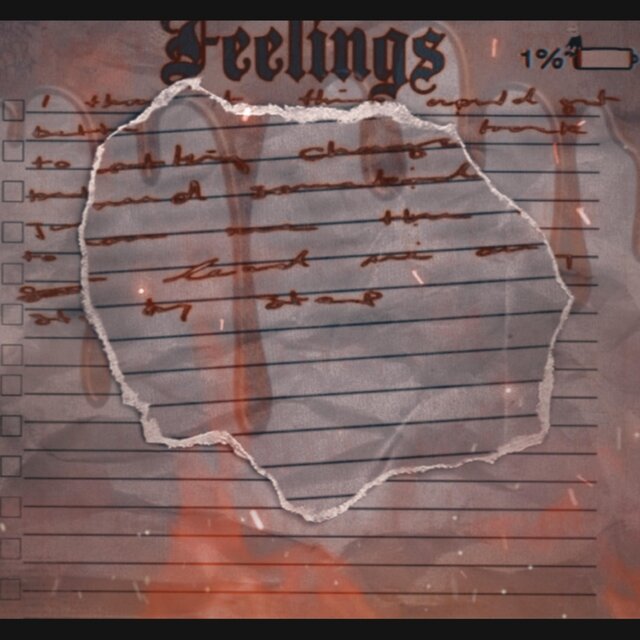 Feelings