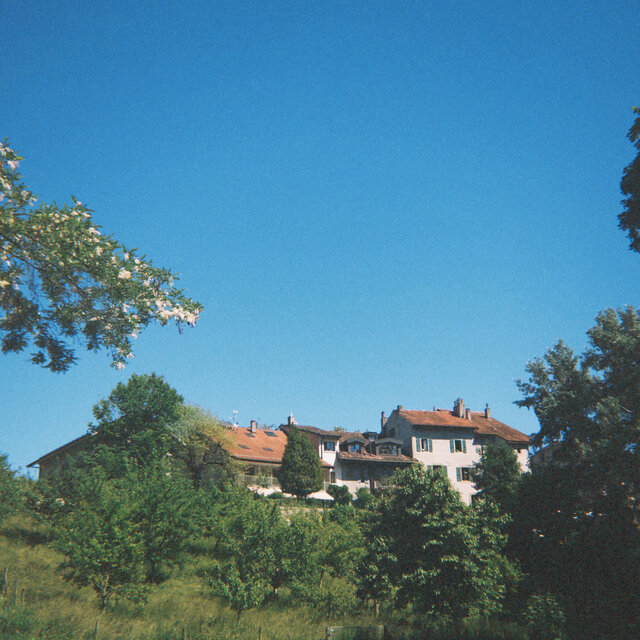 GENEVEBOYSHIT