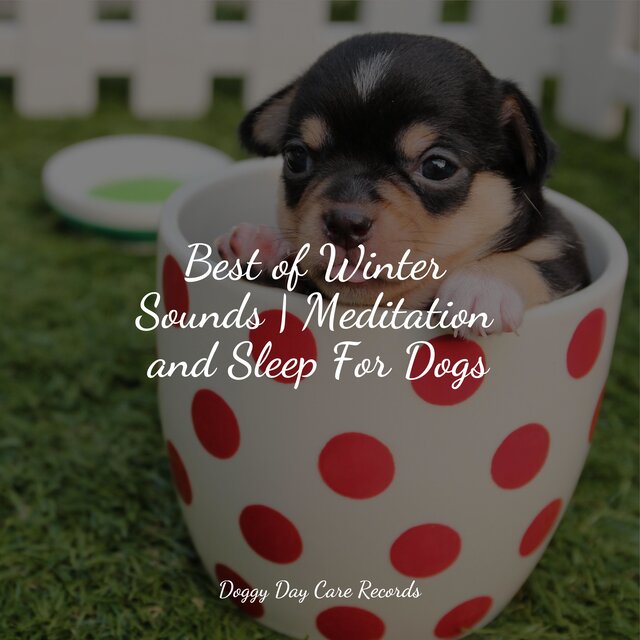 Best of Winter Sounds | Meditation and Sleep For Dogs
