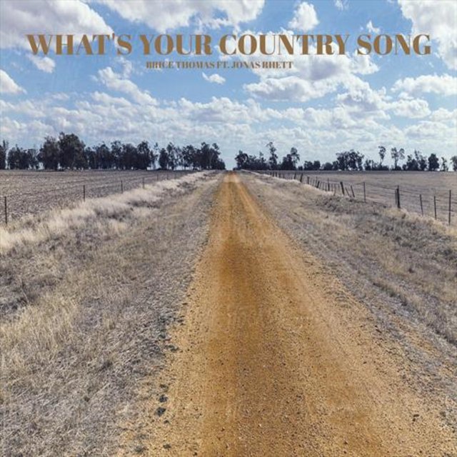 What’s Your Country Song (feat. Jonas Rhett) by Brice Thomas on TIDAL