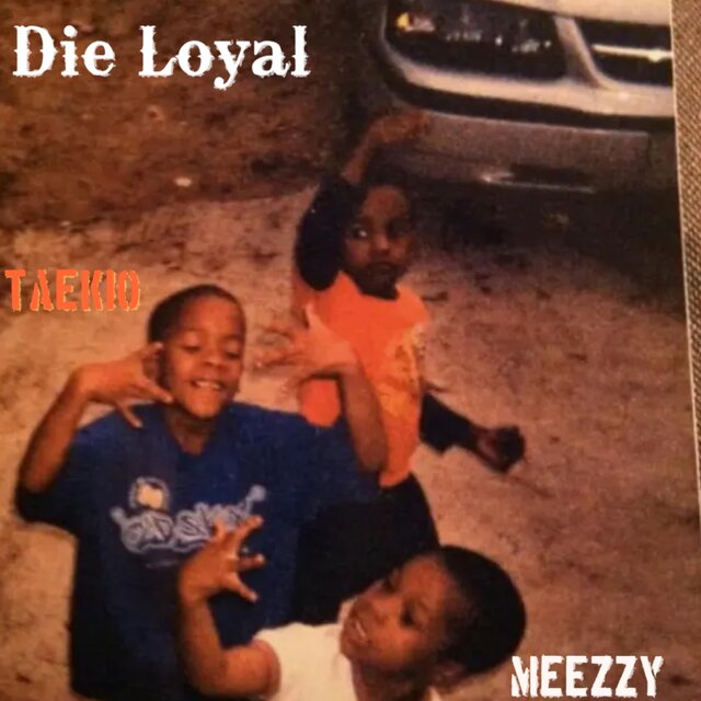 Die Loyal