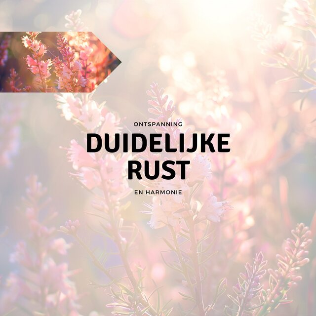 Duidelijke Rust