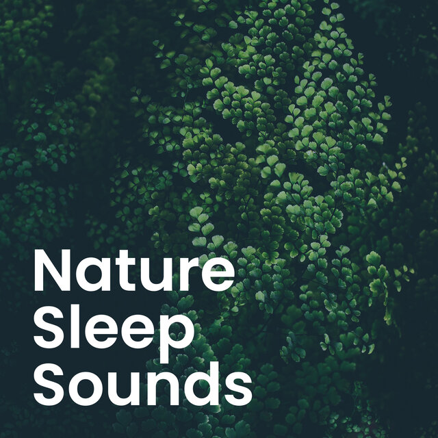 Nature's Serenity: Calming Sounds for Deep Sleep & Relaxation