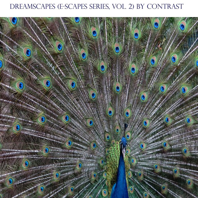 Dreamscapes
