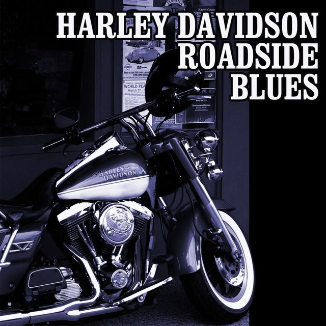 Harley Davidson Roadside Blues