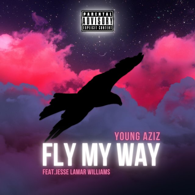 Fly My Way